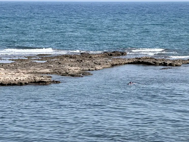 El arrecife de Playa Chapa de los Pájaros, una plataforma de roca al ras del agua, con alguien haciendo snorkel